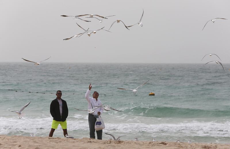 
DUBAI , UNITED ARAB EMIRATES – Feb 20 , 2017 : People offering food to seagulls during the cloudy and dusty weather at the Kite beach in Dubai. ( Pawan Singh / The National ) For News Standalone / Online *** Local Caption ***  PS2002- WEATHER06.jpg