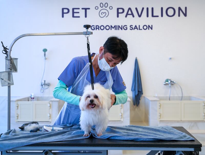 Groomer Michael Rigos gives a dog a trim at Abu Dhabi's Pet Pavilion. Victor Besa / The National.