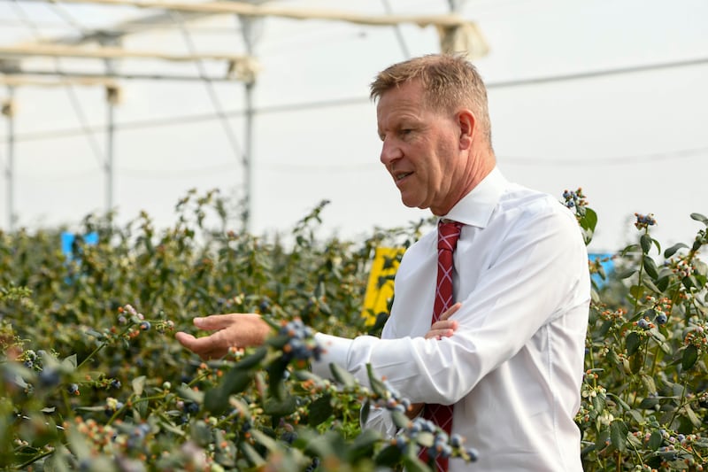 Ian Summerfield, chief executive of Elite Agro at the farm in Al Ain.