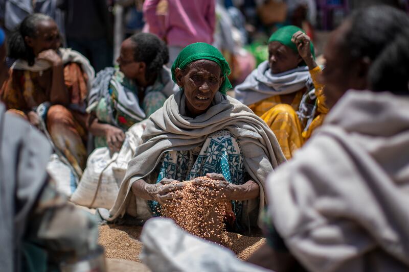 An Ethiopian woman scoops up grains of wheat distributed by an aid organisation in Tigray, where millions rely on assistance due to the regional conflict. AP