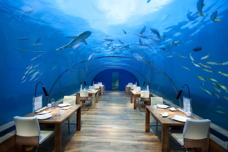 Conrad Maldives Rangali Island was the first resort in the world to offer an all-glass underwater restaurant. Photo: Conrad Hotels