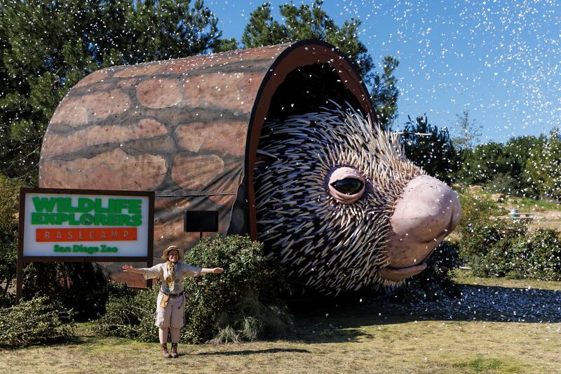 Percy the Porcupine. Reuters