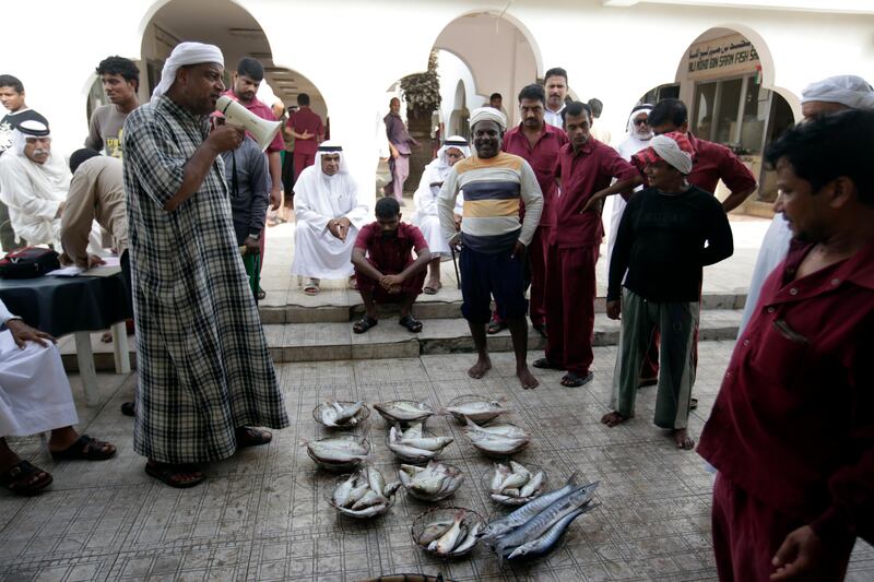 August 15, 2011 (Umm al Quwain) An auctioneer announces the prices and the type of fish being sold at a fish market in Umm al Quwain August 15, 2011.  (Sammy Dallal / The National)