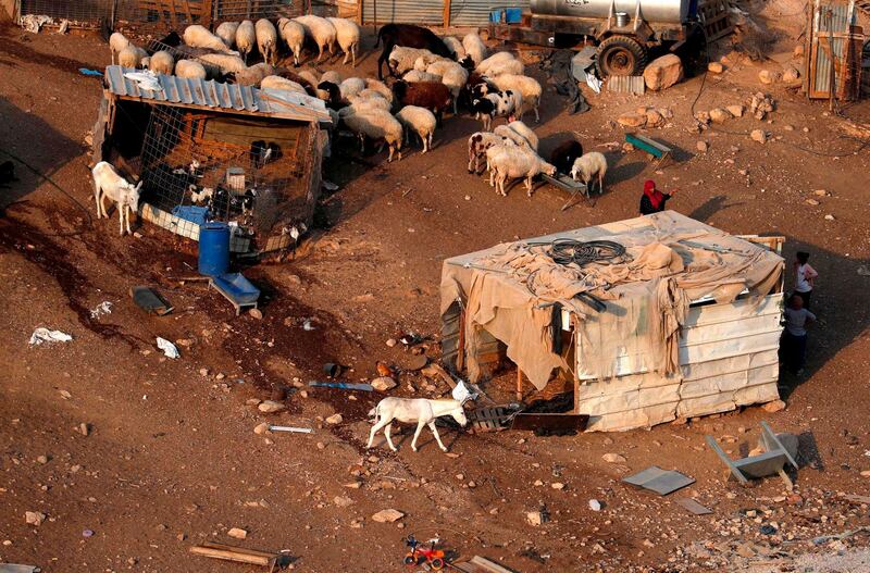 Donkeys and sheep are seen in the Palestinian Bedouin village of Khan al-Ahmar in the Israeli occupied West Bank.  Israeli troops removed caravans early today from near the Bedouin village which they have orders to demolish despite international criticism, officials said.  AFP