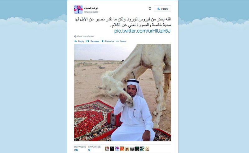 Saudi Arabians have posted Twitter photos of themselves kissing camels, like this one by Nawaf Al Hadba'a @nawaf4908 .

