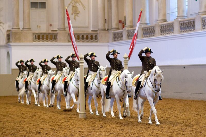 The Spanish Riding School perform the Quadrille at the Winter Riding School in Vienna. 