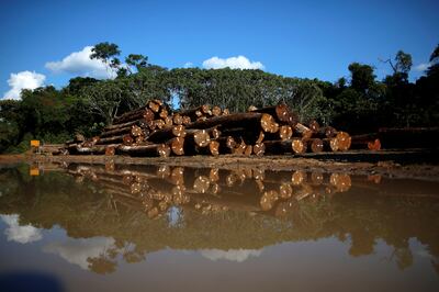 Piles of wood at a company site in the Amazon rainforest in Brazil. Reuters