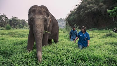 Head elephant veterinarian Dr Nissa Mututanont (right) with one of the elephants that call the jungle around the Anantara Golden Triangle home. Courtesy Anantara Golden Triangle