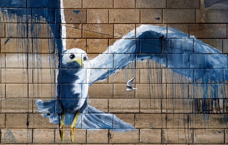 A gull flies under the bridge by graffiti on the Sava river in Belgrade, Serbia. AP