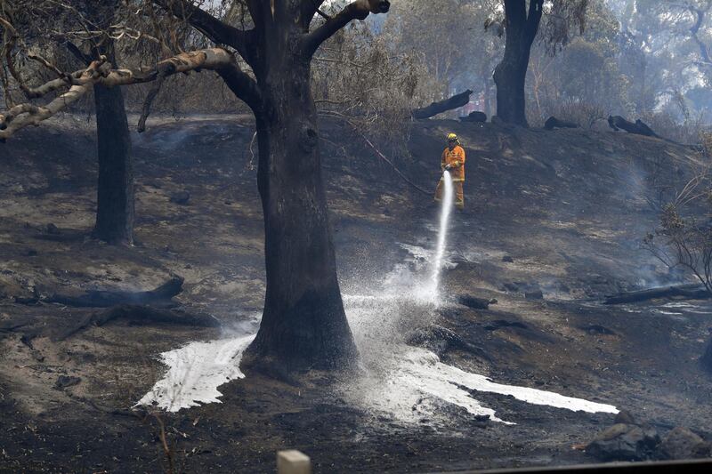 A Country Fire Authority (CFA) firefighter at work at Clovemont Way in Bundoora, Melbourne, Australia. EPA