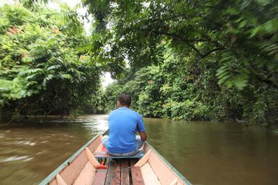 Travel by long boat along the Melinau River