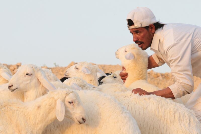 A Saudi shepherd and his flock await Eid customers at a market in Riyadh. Reuters