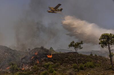 Wildfires rip across the Greek island of Rhodes in July. Getty Images