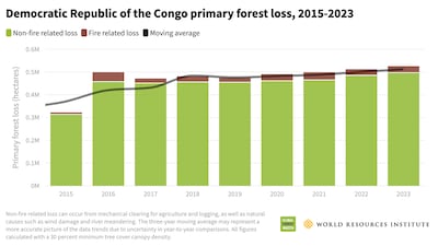 Congo forest losses