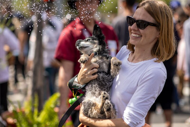 Archbishop Jose Gomez blesses a dog with holy water during the Blessing of the Animals in Los Angeles. AFP