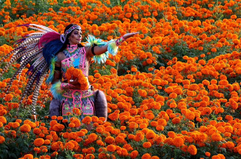 A woman dressed as a pre-Hispanic Catrina in a field of Mexican marigolds during preparations for the Day of the Dead celebration in Tlajomulco de Zuniga, Mexico. AFP