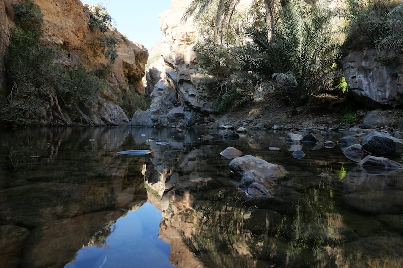 Beautiful scenery and fresh water at Wadi Shis, a seasonal watercourse, in the Hajar Mountains of Sharjah. Pawan Singh / The National