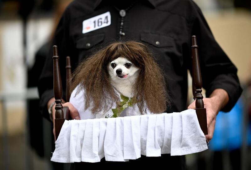 A dog in a costume as Regan from the movie ‘The Exorcist’ attends the Tompkins Square Halloween Dog Parade in Manhattan in New York City. AFP