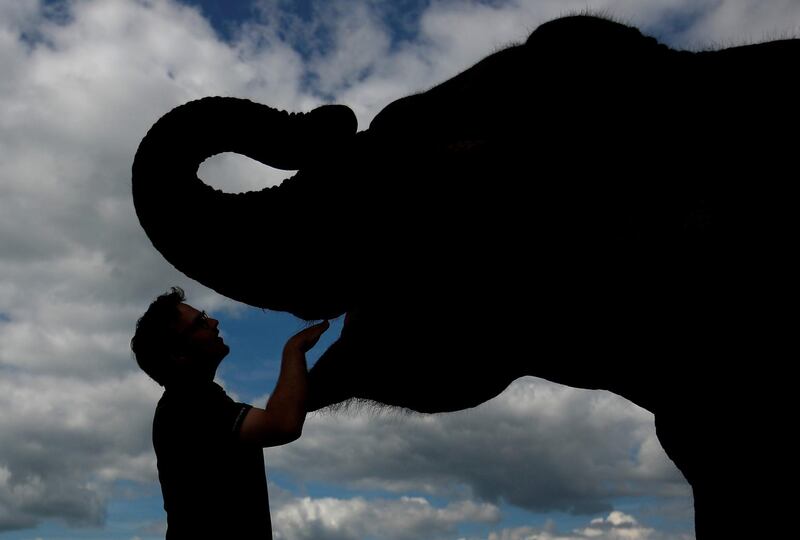 A keeper of the Woburn Safari Park takes care of an Asian elephant, as they prepare to reopen on Monday 15th for the first time since the lockdown due to the outbreak of the coronavirus disease (COVID-19), in Woburn, Britain. REUTERS