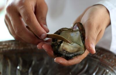 An oyster being checked for pearls at Al Suwaidi pearl farm.  Pawan Singh / The National  