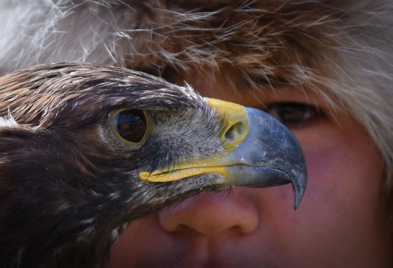 A Kyrgyz 'berkutchi', or eagle hunter, holds his golden eagle during the festival 'Salburun', which welcomes competitors from around the world. AFP
