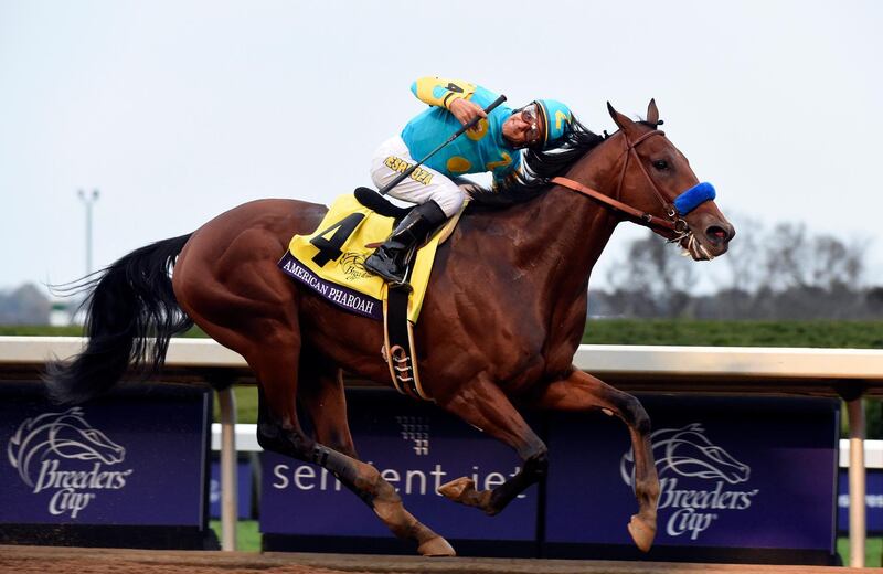 Oct 31, 2015; Lexington, KY, USA; Victor Espinoza aboard American Pharoah wins race eleven of the 2015 Breeders Cup Championships at Keeneland. Mandatory Credit: Richard Mackson-USA TODAY Sports  / Reuters 
Picture Supplied by Action Images *** Local Caption *** 2015-10-31T220957Z_1553137835_NOCID_RTRMADP_3_HORSE-RACING-32ND-BREEDERS-CUP-WORLD-CHAMPIONSHIPS.JPG