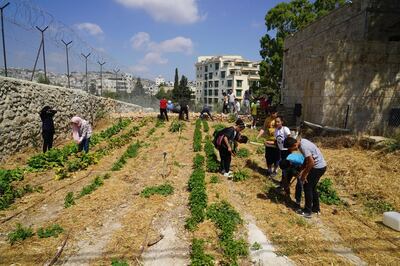 An Urban Farm workshop in 2019 led by Mohammed Saleh, with children from Al Rowwad Art and Culture Society. Photo by Emily Jacir