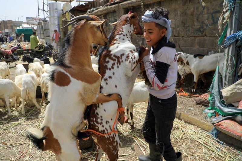 A boy plays with goats at a livestock market in Sanaa, the capital of Yemen. AFP