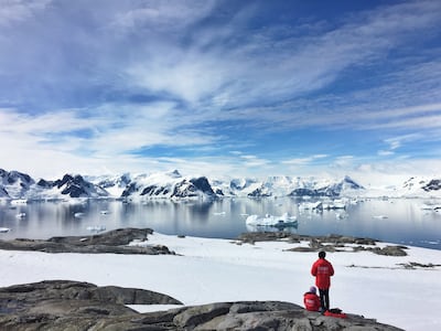 Travellers in Antarctica are not allowed to venture on to the ice alone, but only under the supervision of travel companies. Unsplash