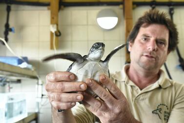 Mikhmoret - National Sea Turtle Rescue Centre. Rosie Scammell for The National