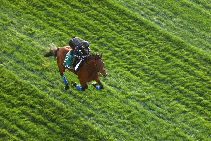 Mishriff in full gallop during morning track work ahead of the Dubai World Cup. The Irish-bred racehorse won the Saudi Cup in February. Getty Images