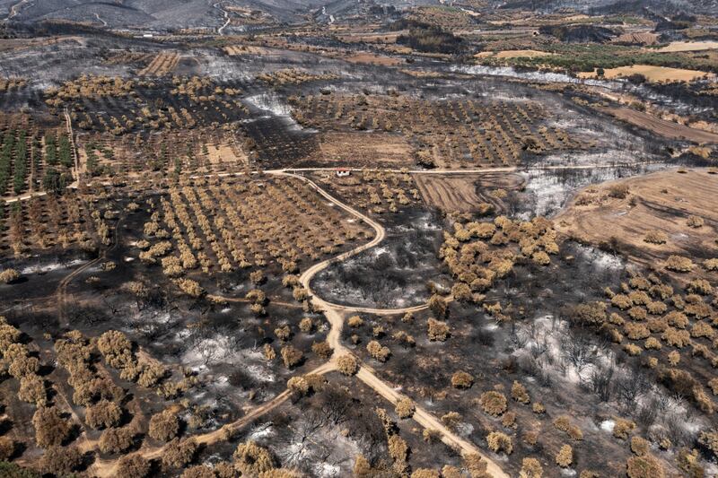 The Alexandroupolis wildfire in Evros is the largest on record in the EU