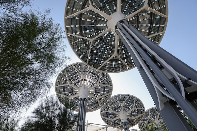 Solar-powered e-trees in the Green Zone. Bloomberg