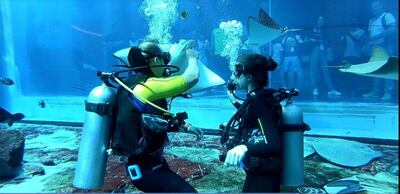 Abdulla Yarulin popped the question to Marina Mukaeva at Atlantis, The Palm's aquarium. Courtesy Abdulla Yarulin