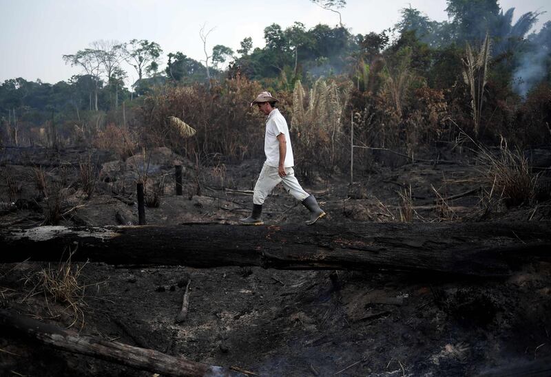 Brazilian farmer Helio Lombardo Do Santos walks over a burnt trunk after a fire at the Amazon rainforest, near Porto Velho. AFP