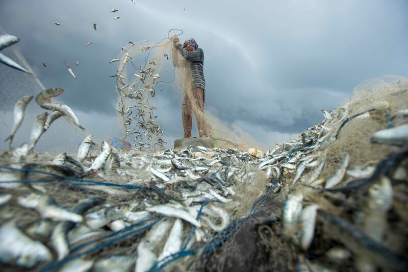 Second Place, People and Nature, Komang Arnawa, Indonesia. A fisherman sorting catches in Kedonganan, Bali.