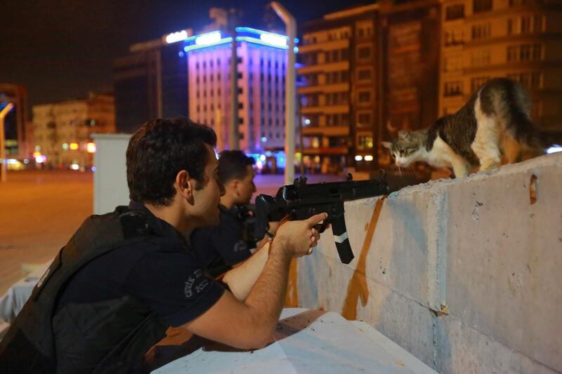 A cat looks on as a policeman aims his weapon during an attempted coup, in Istanbul, Turkey July 16, 2016. REUTERS/Kemal Aslan     TPX IMAGES OF THE DAY