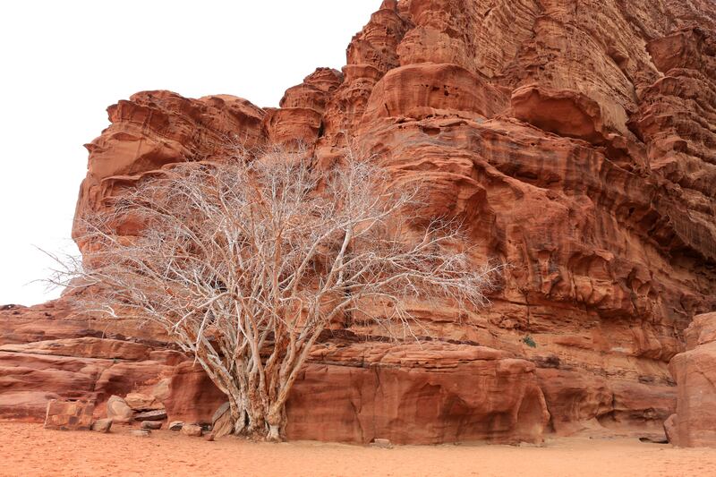 Wadi Rum was chosen as one of the locations for the project because of the wind erosion to the basalt and sandstone rock in the area. Photo: EPA-EFE