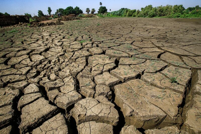 This picture taken on November 11, 2019 shows a view of an agricultural field worked by Othman Cheikh Idriss, a 60-year-old Sudanese farmer, in the capital Khartoum's district of Jureif Gharb. - For Idriss and millions of other Sudanese, the floods from the Blue Nile that hit Sudan every year stop a dream that could never have been realized until the construction of Ethiopia's enormous Grand Renaissance Dam (GERD) near the border, with at least 60 killed and dozens injured in a recent flooding in August. Just on the northern outskirts of Khartoum, the Blue Nile from the Ethiopian Lake Tana meets the White Nile from Lake Victoria in the middle of the continent and together they form the Nile which ends in Egypt, which conversely views the dam as a danger to its national security. (Photo by Ashraf SHAZLY / AFP)