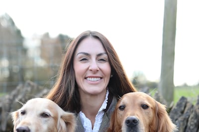 Ursula Aitchison has had Hugo (left) for nine years and Huxley for four. The Golden Retrievers have almost a million followers across different social media platforms. Photo: Ursula Aitchison