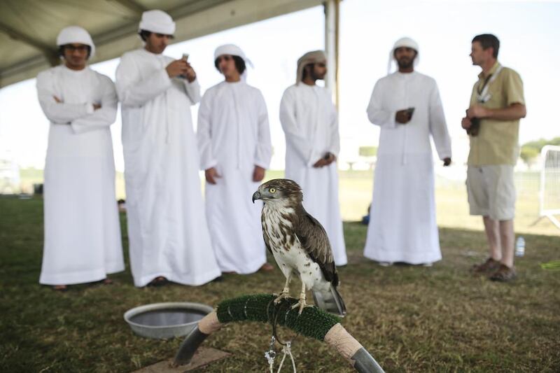 A group of men admire a short-toed eagle at the third International Festival of Falconry at Al Forsan International Sports Resort in Abu Dhabi this week. Sarah Dea / The National