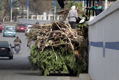 Workers load recently felled tree branches on a government vehicle in Cairo, Egypt. AP 
