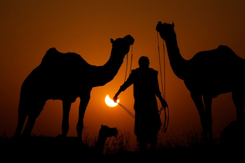 A camel herder is silhouetted against a partial solar eclipse in Pushkar, in the western Indian state of Rajasthan. AP
