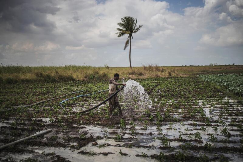A farmer carries a hose to water his field, where the Catholic Organisation CARITAS provides counselling to farmers affected by the recent cyclones in Tica, near Beira on August 21, 2019. - Pope Francis is scheduled to visit Mozambique, Madagascar and Mauritius in a pastoral visit from September 4th to September 10th. (Photo by MARCO LONGARI / AFP)