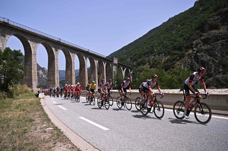 The peloton during Stage 15.