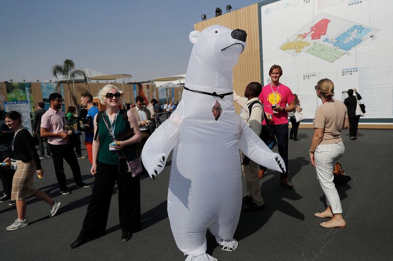 An activist wears a polar bear outfit as part of campaigning. AFP
