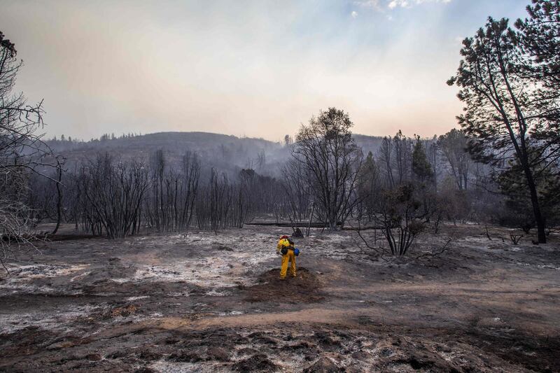 A firefighter works to extinguish a hotspot from the Lake Fire at Pine Canyon Road in the Angeles National Forest, by Lake Hughes, 60 miles north of Los Angeles, California.  AFP