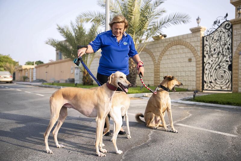 DUBAI, UNITED ARAB EMIRATES - SEPTEMBER 20, 2018. 

Sarita Harding, walks her dogs in Al Warqa. Sarita is a volunteer with Animal Action UAE.

Animal Action UAE, which is part of Emirates Animal Welfare Society has had to stop rescues because it owes vet surgeries across the UAE so much money - around Dh100,000. The charity desperately needs to find homes for 15-20 dogs that are currently boarding at veterinary surgeries at a cost of Dh60 a day each. They have around 80 animals under their care just now that they are trying to rehome. 


(Photo by Reem Mohammed/The National)

Reporter: GILIAN
Section: NA