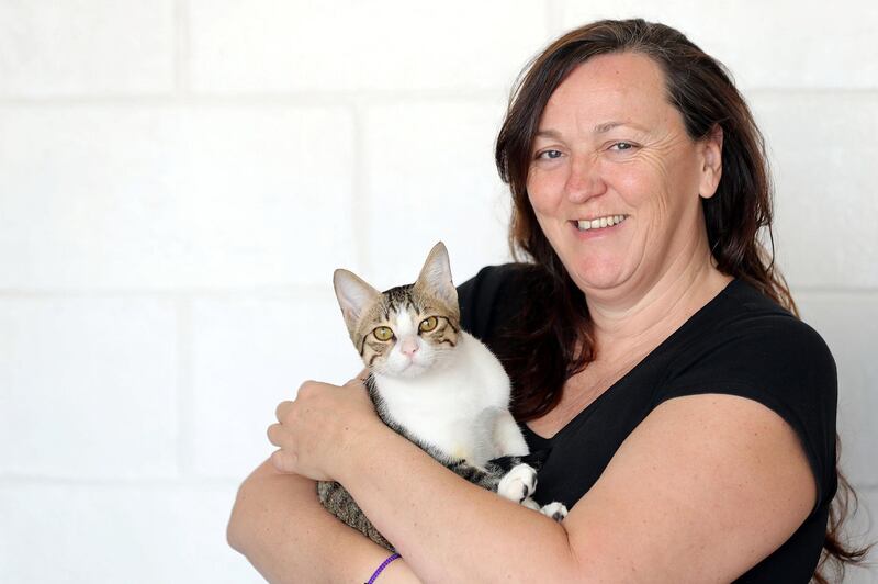 Dubai, United Arab Emirates - Reporter: Evelyn Lau. Lifestyle. Owner Kirsty Kavanagh. Pawsome Paws in Dubai have opened a new luxury cat hotel (a place to board your cats) in Al Quoz. Thursday, March 11th, 2021. Dubai. Chris Whiteoak / The National