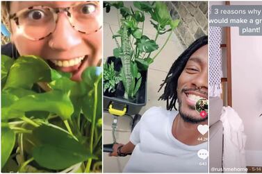 Three of TikTok's horticultural influencers: from left, @edenish, @thisisrheed and @rushmehome. TikTok